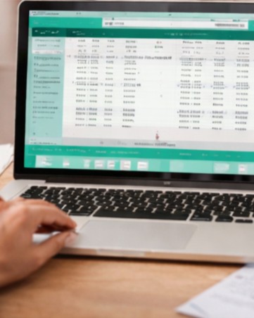 Accounting / Tally Software